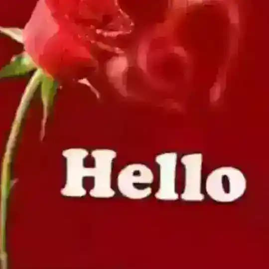 All Grade11 $ 12 Social science Profile