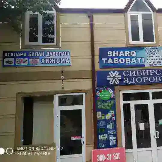 Марғилон асалари шифоси хидама ва зулук Profile