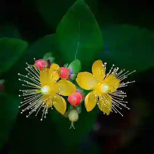 🇦🇿🇦🇿🇦🇿Azərbaycan Respublikası söhbət qrupu🇦🇿🇦🇿🇦🇿 Profile