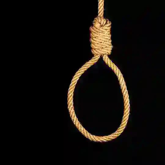 Лаллипап Profile