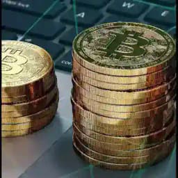 Bitcoin France chat Profile