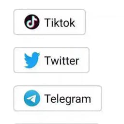 【豹哥🐆粉商】飞机号 僵尸粉 上粉 Tiktok twitter 接码 Profile