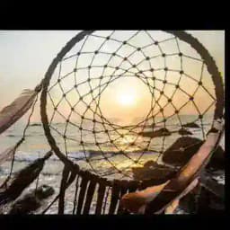 Chamanismo y Espiritualidad Profile