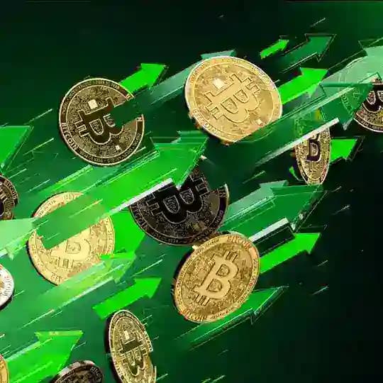 华语加密社区 Profile