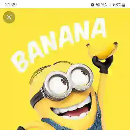 Verrückte Menschis 🤪 Profile