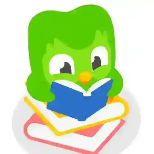 Duolingo Profile