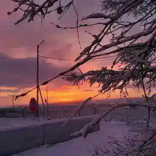 чат закатиков 📍 Profile