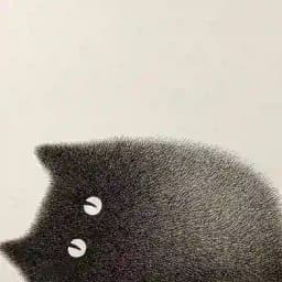 FilmSpotChat Profile