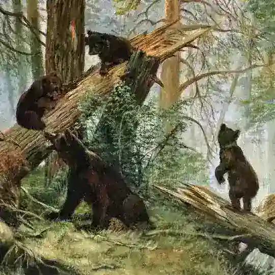 Лекарство потомков (чат) Profile