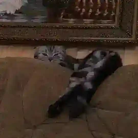 /_/БрУтАльное брЕвно/_/ Profile