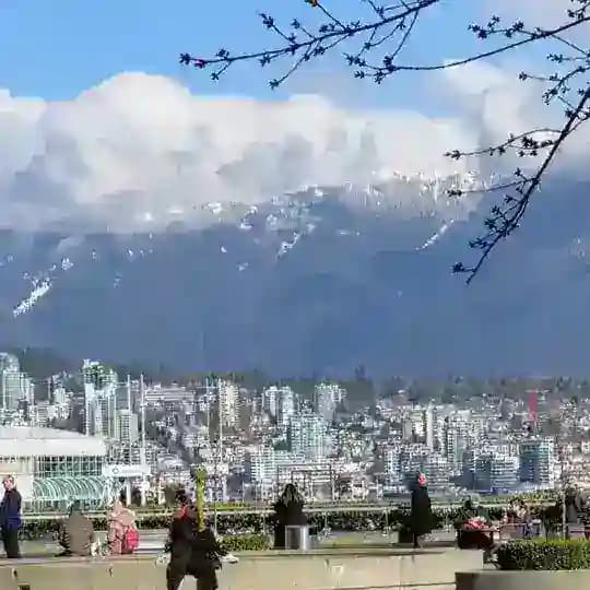 English Practice Profile