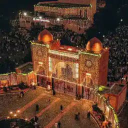 Jmi/amu bsc bioscience/biotech entrance exam preparation Profile