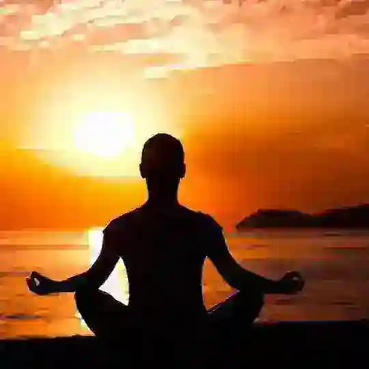 Yoga & Wellness🧘 Profile