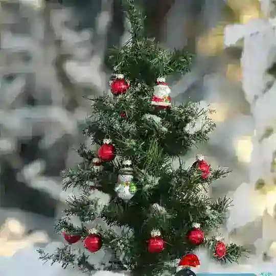 ꧁༺ ⓚⓔⓛⓘⓝⓖ ⓣⓐⓝⓘⓢⓗⓐⓜⓘⓩ༻ Profile