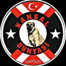 KANGAL DÜNYASI 🇹🇷 Profile