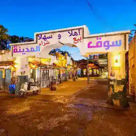 خدمات المدينة المنورة Profile