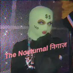 𝗧𝗵𝗲 𝗡𝗼𝗰𝘁𝘂𝗿𝗻𝗮𝗹 निगाज़ Profile