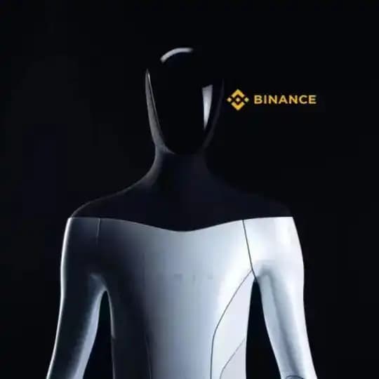 Optimus 擎天柱 30/9 静待花开 Profile