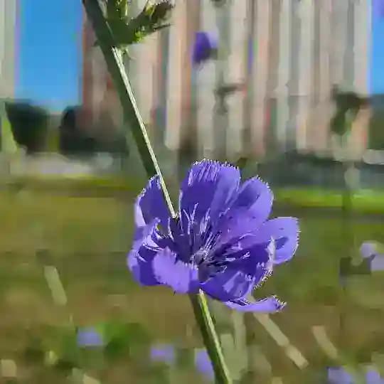 пейзажи Южного Медведково Profile