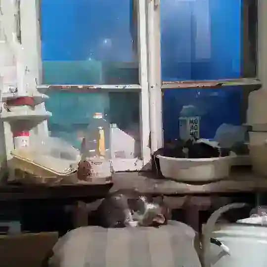 Philosophy in Russian Profile