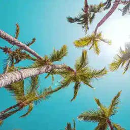 ✈️Пошук попутників Україна 👌 Profile