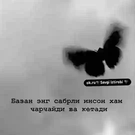 🌸QADRDOLARIM🌸 Profile