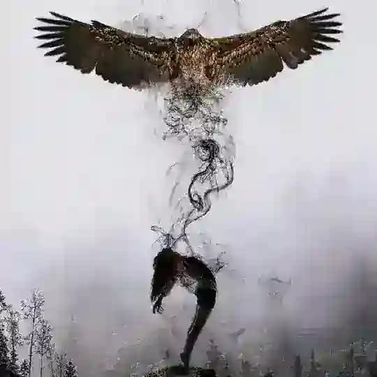 SATURNDEKİ DELİ GRUBU Profile