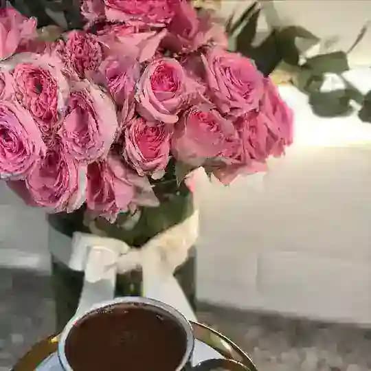 حراج - اعلانات- استفسارات- تبوك النسائي .. Profile