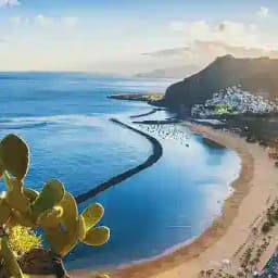 Ukrainians at Tenerife Profile