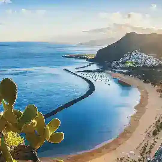 Ukrainians at Tenerife Profile