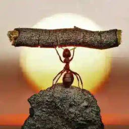 出海军团📣聊天交友群（🈲广告） Profile