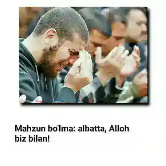 🍃J͎a͎N͎N͎a͎T͎G͎a͎ O͎s͎h͎i͎Q͎L͎a͎R͎🍃 Profile