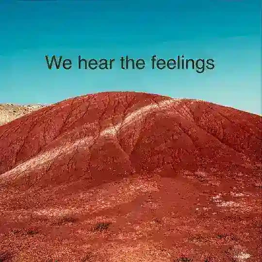 💬 We hear The feelings 👥 Profile