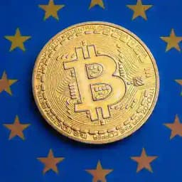 WESTERN EUROPEAN TRADES Profile