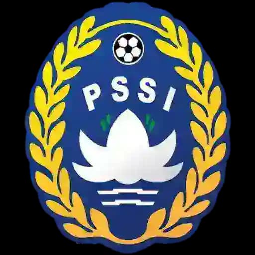 Liga Indonesia Profile