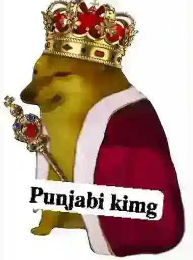 Punjabi Profile
