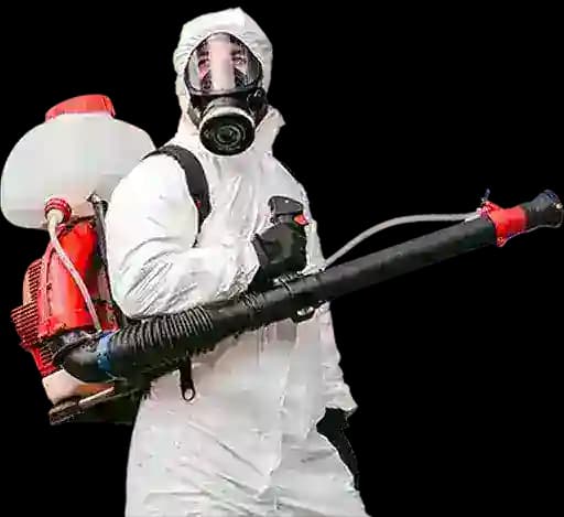 Vietnam Today Profile