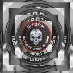 🇷🇺 СВО ШТОРМ V - ПОСЛЕДНЕЕ СЛОВО ЗА НАМИ 🇷🇺🫡🫡🫡 Profile
